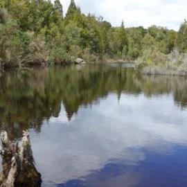 Mining  and Milling Remains, Rimu Area.  - ALBUM -