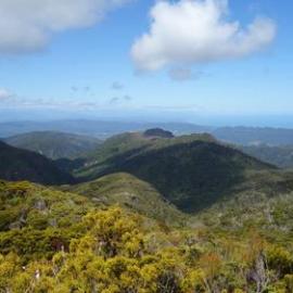 Rewanui photos.     - ALBUM -