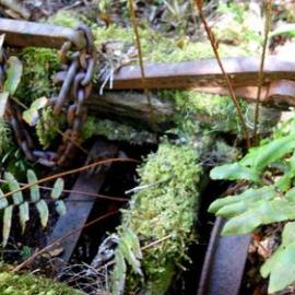 Derailed tram trolley - Upper Rewanui.  - ALBUM -