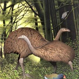 A HISTORY OF BLACKBALL, 13th to 18th century.