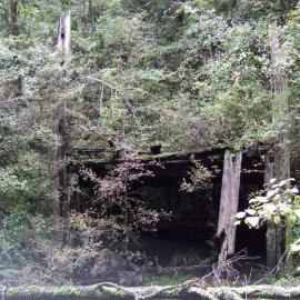 Old coal bin remains in the bush on a tributary of the Inangahua River - It is close to the Royal coal