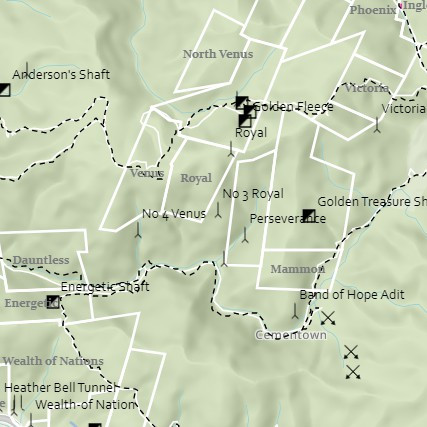 Online Reefton Goldfields Map