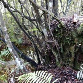 Brick-making kilns, Blue Spur *PHOTO ALBUM*