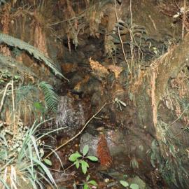 Rewanui N/o 3 mine - 1913 to 1926 *PHOTO ALBUM*