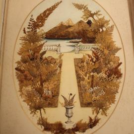 Hindmarsh Fern Album