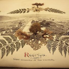 Hindmarsh Fern Album - Reefton.1895.