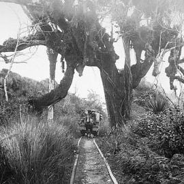 Greymouth and Kumara Tramway.ca.1880.