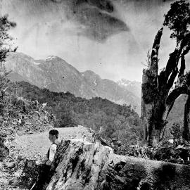 Otira Gorge. 1879.