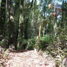 The iron pipe  is a survey mark on our local Gentle Annie hill