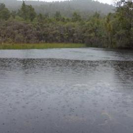 Gentle Annie mining relics *PHOTO ALBUM*