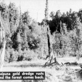 Waipuna dredge remains