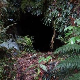 Old goldfield close to Hokitika *PHOTO ALBUM*