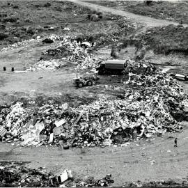 Transforming the old Cobden Dump and Tiphead *PHOTO ALBUM*