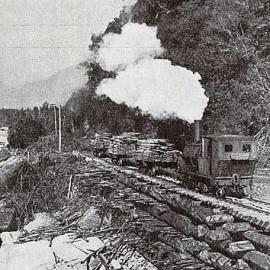 Bruce Bay tramway carrying timber at Bruce Bay .1941.