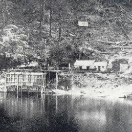 Brunner coalmine 1866