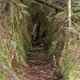 Another goldfields walk in the Gentle Annie area which is near Conical Hill, near Hokitika.  - ALBUM -