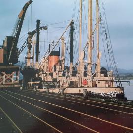 M.V.Konui loads coal at Westport.1958.