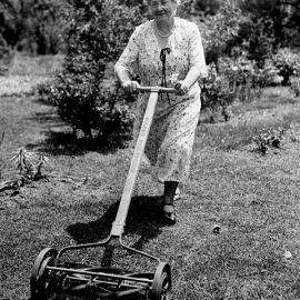 The old push lawn mower.