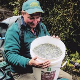 Craig Hames with whitebait from the Grey River -  by the old wharf.1970`s
