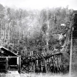 Koranui Incline, Waimangaroa valley.
