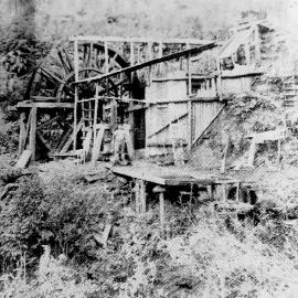 Mitchells goldmine, Charleston.1905.