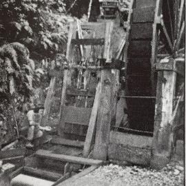 Mitchells goldmine, Charleston