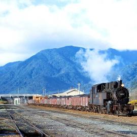 Train at Waimanagaroa Station.