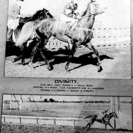"Coalfield Maiden Stakes, Westport,1977 " - saved from the wall of the Junction Hotel ,Spring Creek.
