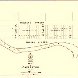 1880`s road plan (map) Capleston