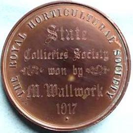 Medal - State Collieries Society won by M. Wallwork. 1917.