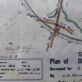 Orwell Creek or Ahaura-Kopara Road