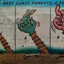 1999 Forest Protest - cartoons *PHOTO ALBUM*