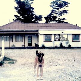 The Pines Tavern near Fairdown, 1985.