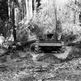 Skidder logging ,South Westland.1976 .