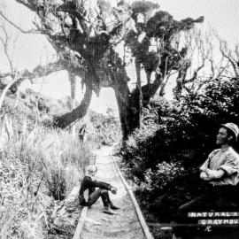  ALBUM -  A visit via the Tram to the Kumara goldfields.1886.