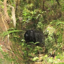 Braehead mine up on the hill behind the old Dunollie mine office.  - ALBUM -