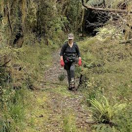 The Battery site of the Taipo quartz Mining Co. Ltd,on Battery Road, Jacksons.  - ALBUM -