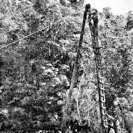 Searching for new coalfields - the Govt diamond drill at work at Ngakawau near Granity.1910. 