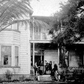 The Pines on Packington, Westport *PHOTO ALBUM*