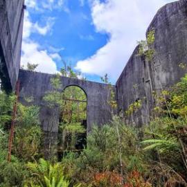 Spectacular Beauty of Rewanui - Liverpool 2 Coalmine. 1919-1965.  - ALBUM -