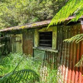 Middle Brake -  Rewanui.1919-65. REWANUI DIRECTIONS  - ALBUM -