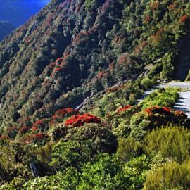 The Otira Gorge from the Zig Zag, pre the Viaduct.1984.   ALBUM 