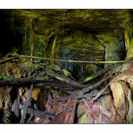 Exhibition Mine ca. 1940 and Bellvue No 2 ca. 1941 to 1970 and the New Jubilee mine and bins circa 1940-1975.