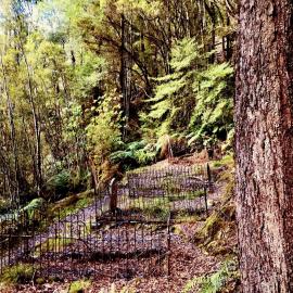 Dennis Quinlivan 1844 -1883 (aged 38–39) - buried at Lyell Old Cemetery - murder