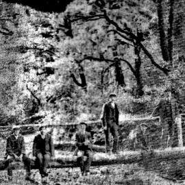 Coal Creek walk, Runanga.1911. 