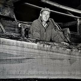 The Last Rimu at Ngahere Sawmill.1995. 
