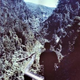 Rewanui Liverpool No.2 Middle Brake viewed from Rewanui Liverpool No.3.Ca 1960's.