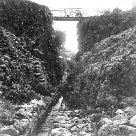 Tail race near Stafford, Westland, 1906