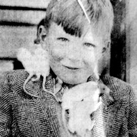 Albino Mice - Blaketown Boy`s unusual pets