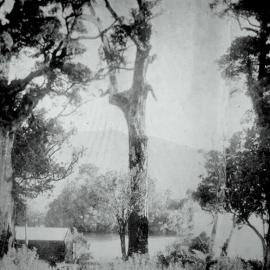 Lake Kaniere as it was ,  early 1900.